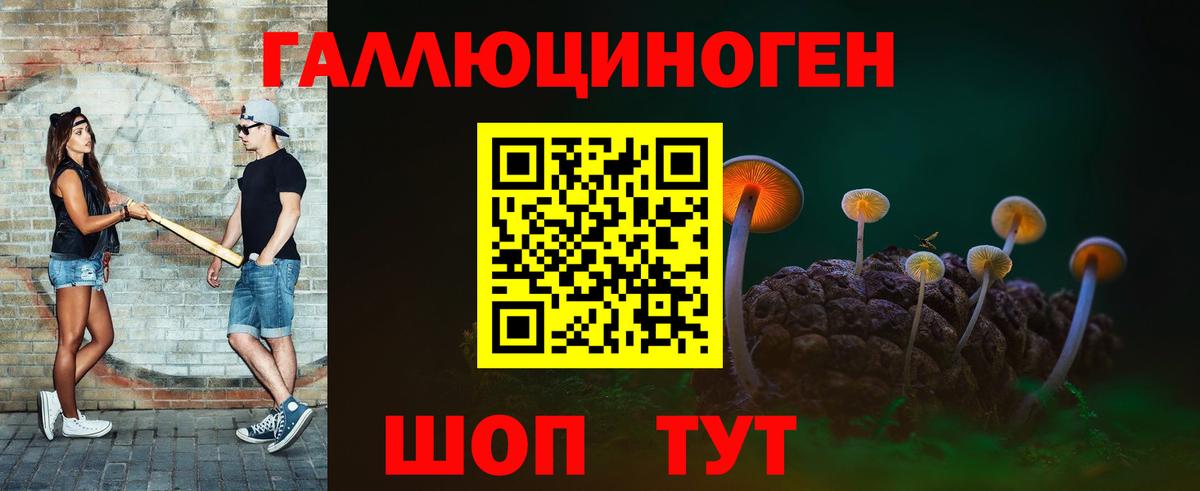 Галлюциногенные грибы Psilocybine cubensis Кубинка