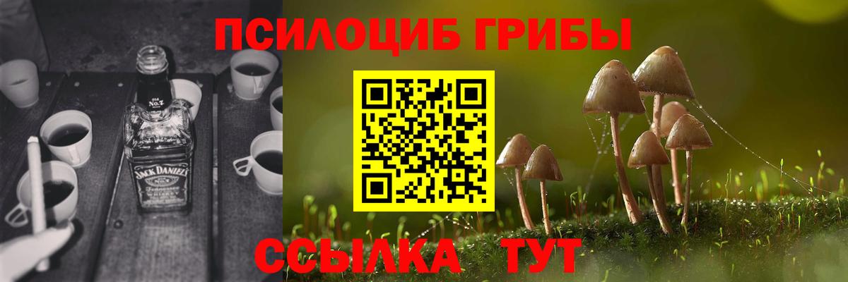 Кубинка  Псилоцибиновые грибы Psilocybine cubensis  Вход с VPN  Псилоцибиновые грибы прущие грибы 